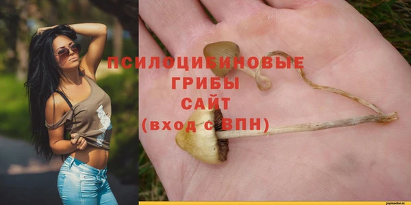 дмт Карталы