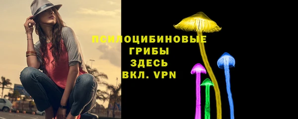 прущий лед Касимов