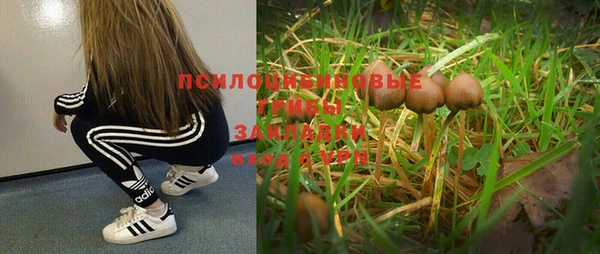 гидропоника Карпинск