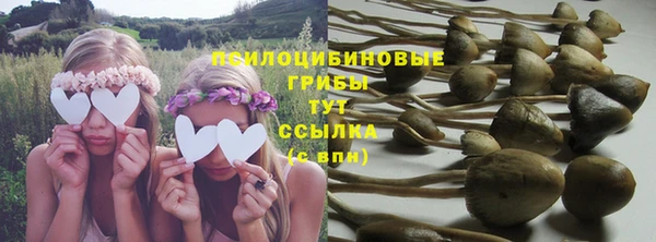 гидропоника Карпинск