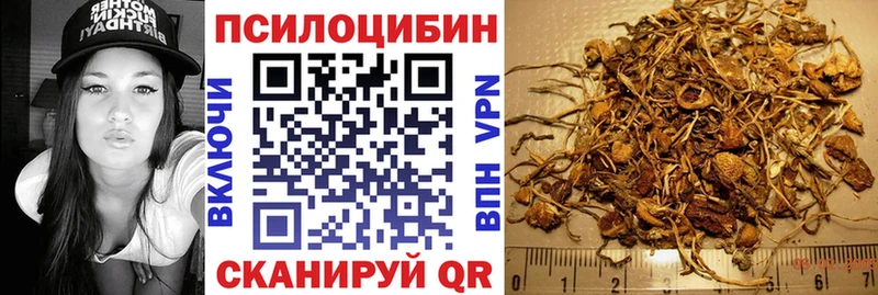 Купить где  Миньяр  Галлюциногенные грибы Magic Shrooms 
